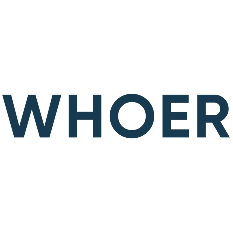 Asseturi: Safeguarding Your Online Privacy with Whoer VPN